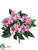 Impatiens Bush - Pink - Pack of 24