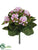 Kalanchoe Bush - Pink - Pack of 12