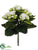 Kalanchoe Bush - White - Pack of 12