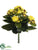 Kalanchoe Bush - Yellow - Pack of 12