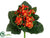 Kalanchoe Bush - Orange - Pack of 12