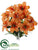 Lily Bush - Orange - Pack of 12