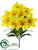 Lily Bush - Yellow - Pack of 12