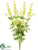 Larkspur Bush - Cream - Pack of 6