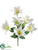 Easter Lily Bush - White - Pack of 24