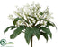 Silk Plants Direct Lily of The Valley Bush - White - Pack of 12