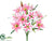 Lily Bush - Pink Two Tone - Pack of 12