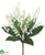 Lily of the Valley Bush - White - Pack of 12