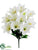 Easter Lily Bush - White - Pack of 12