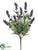 Lavender Bush - Purple Lavender - Pack of 12