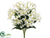 Lily Bush - Cream - Pack of 12