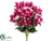 Lily Bush - Fuchsia - Pack of 12