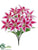 Lily Bush - Rubrum Pink - Pack of 12