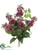 Lilac Bush - Purple - Pack of 12