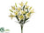 Lily Bush - Cream - Pack of 6