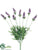 Lavender Bush - Lavender Blue - Pack of 12