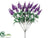 Lavender Bush - Orchid - Pack of 12