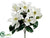 Magnolia Bush - Cream - Pack of 12