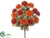 Mum Bush - Orange Rust - Pack of 12