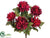 Mum Bush - Burgundy - Pack of 6