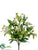 Mum Bush - Green - Pack of 12