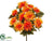 Mum Bush - Orange Gold - Pack of 6