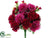 Mum Bush - Wine Rubrum - Pack of 12