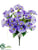 Morning Glory Bush - Lavender - Pack of 12