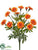 Marigold Bush - Orange - Pack of 12