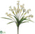 Narcissus Bush - White - Pack of 12