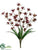 Cymbidium Orchid Bush - Orchid - Pack of 12