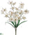 Cymbidium Orchid Bush - Cream - Pack of 12