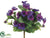 Mini Pansy Bush - Purple - Pack of 36