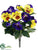 Pansy Bush - Yellow Purple - Pack of 12