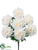 Peony Bush - White - Pack of 12