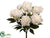 Peony Bush - Cream - Pack of 6