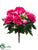 Peony Bush - Fuchsia - Pack of 12