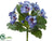 Pansy Bush - Blue - Pack of 12