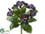 Pansy Bush - Eggplant - Pack of 12