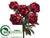 Peony Bush - Brick Terra Cotta - Pack of 6