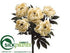 Silk Plants Direct Peony Bush - Beige Two Tone - Pack of 6