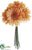 Gerbera Daisy Bouquet - Talisman - Pack of 12