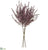 Astilbe Bundle - Lavender - Pack of 12