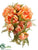 Peony, Fern Cascade Bouquet - Peach - Pack of 6