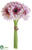 Gerbera Daisy Bouquet - Pink - Pack of 6