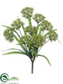 Silk Plants Direct Queen Anne's Lace Bush - Green Light - Pack of 12