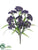 Queen Anne's Lace Bush - Purple - Pack of 12