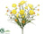 Ranunculus Bush - Yellow - Pack of 12