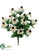 Rudbeckia Bush - Cream - Pack of 12