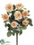 Confetti Rose Bush - Apricot - Pack of 6